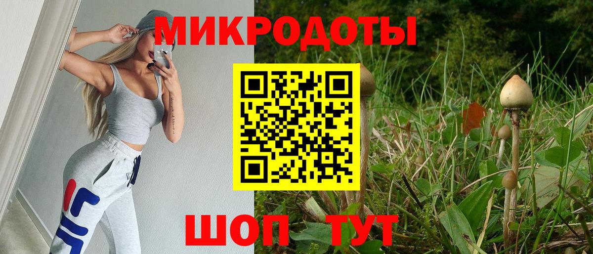 Сыктывкар  Псилоцибиновые грибы мухоморы  купить наркотики цена  Вход с VPN 