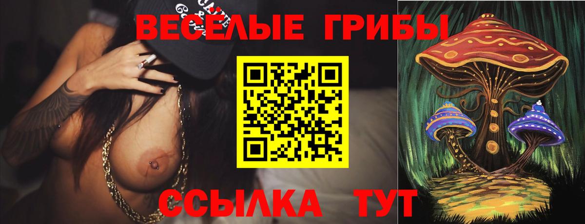 Галлюциногенные грибы ЛСД Сыктывкар