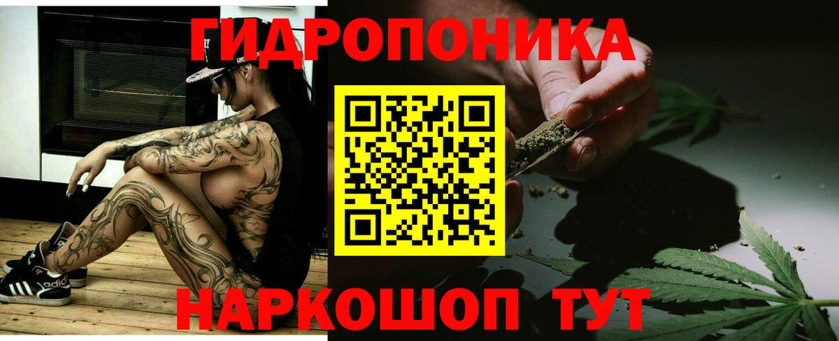 Каннабис сатива Сыктывкар